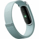 Фитнес-браслет Google Fitbit Air (Серо-голубой/Fog) в Красноярске